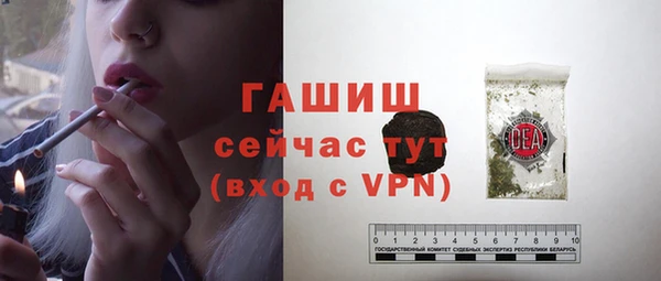 шишки Осинники