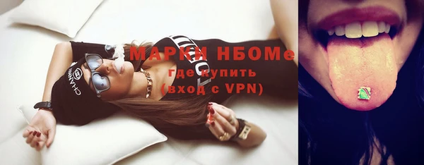 шишки Осинники