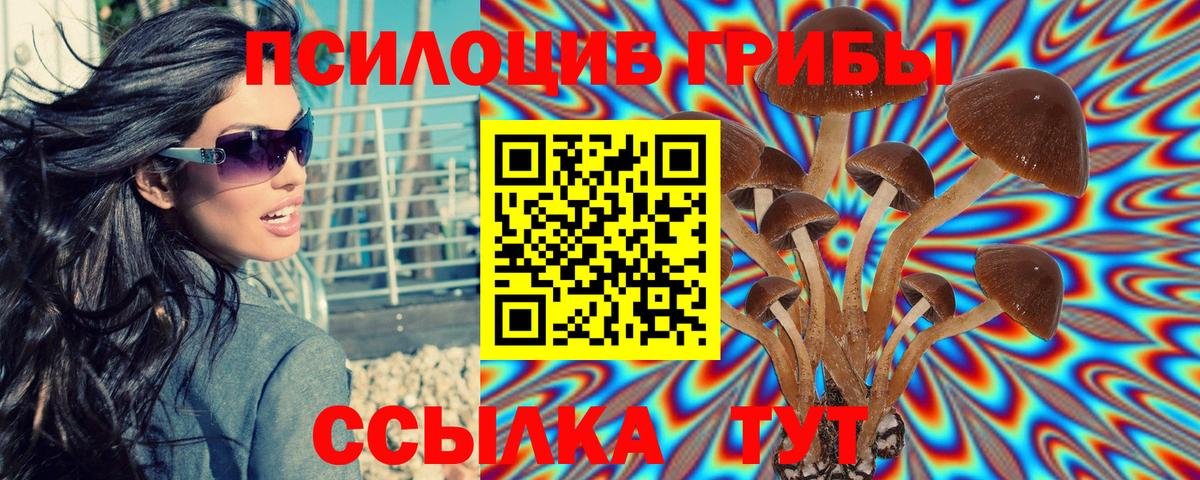 Псилоцибиновые грибы MAGIC MUSHROOMS Сургут
