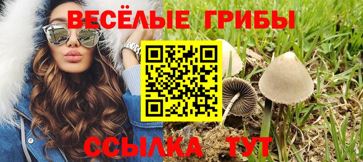 Галлюциногенные грибы прущие грибы  Вход с VPN  Сургут 