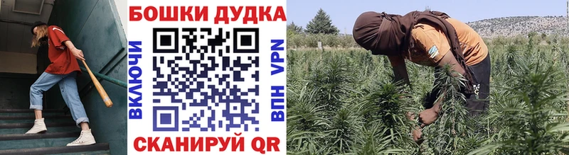 omg как войти  Сургут  Бошки марихуана сатива  магазин продажи  